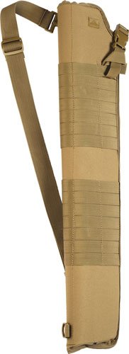 82025coy.jpg