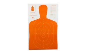 actb 27eorange 100 1.jpg