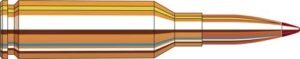 ahdy81543 bullet line art.jpg