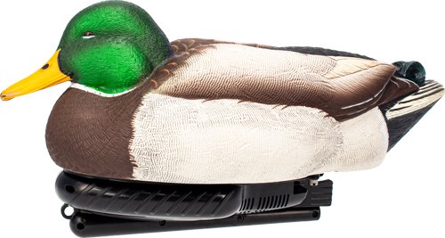 avxpswmdlh.jpg avxpswmdlh.jpg