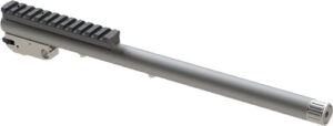 c8015.jpg