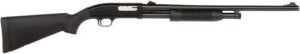 g31017.jpg