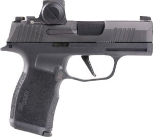 g365x9bxr3rxx10 1.jpg
