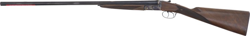 gfrisii2828 left.jpg gfrisii2828 left.jpg
