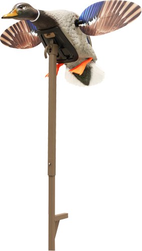 hw24703p.jpg