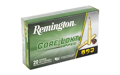 rem29037 2.jpg rem29037 2.jpg