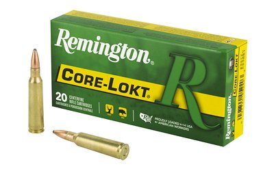 rem29077 1.jpg rem29077 1.jpg