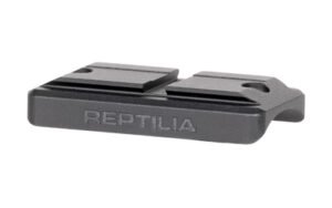 rep100 294 1.jpg