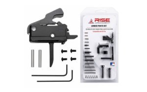 riset017f 12003 1