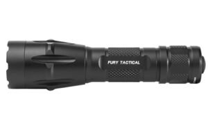 sffury dft 1.jpg