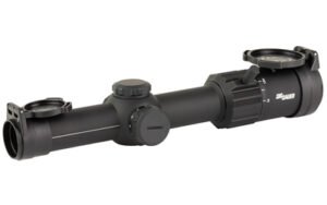 sgsotm61001 1.jpg