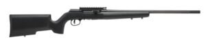 sv47217.jpg