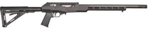 vfvt2 b.jpg