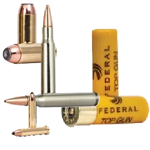 ammo assortment category icon