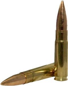 a51244 shells 1 a51244 shells 1