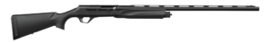 ace rpal.png
