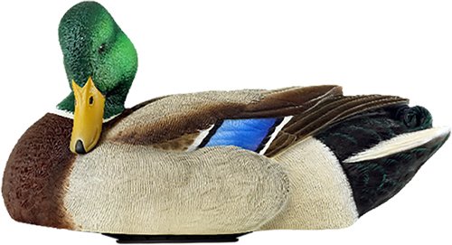 avxpshmdpr.jpg avxpshmdpr.jpg