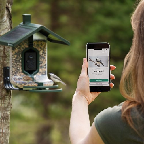 fsbf001 feeder phone.jpg fsbf001 feeder phone.jpg