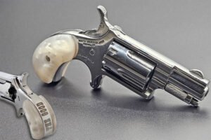 naa 22lr good.jpg