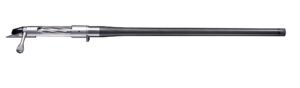 bgno6028f.jpg