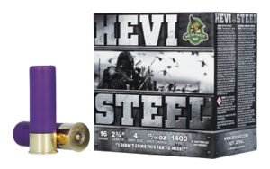 hevihs61604 1.jpg