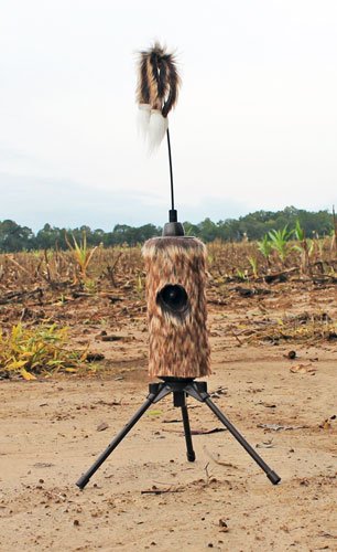 hw2508 field.jpg hw2508 field.jpg