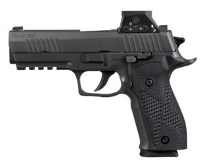 p226xrom 2.jpg