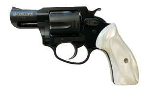 ch13822.jpg