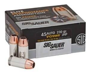 e45ap2 20.jpg