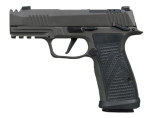 p365axgma.jpg