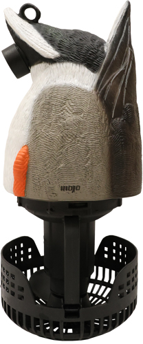 hw2534.jpg hw2534.jpg